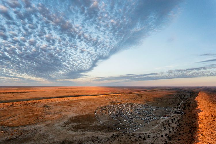 Birdsville